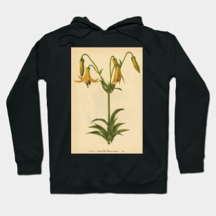 Canada Lily-Available As Art Prints-Mugs,Cases,Duvets,T Shirts,Stickers,etc Hoodie